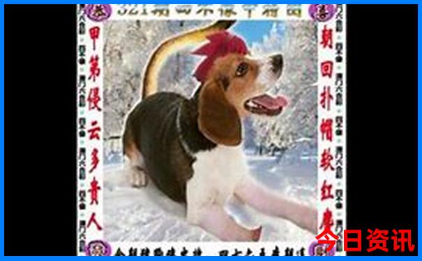 川西著名景点有哪些