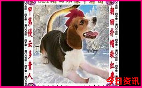 长治十大aaaaa级景区